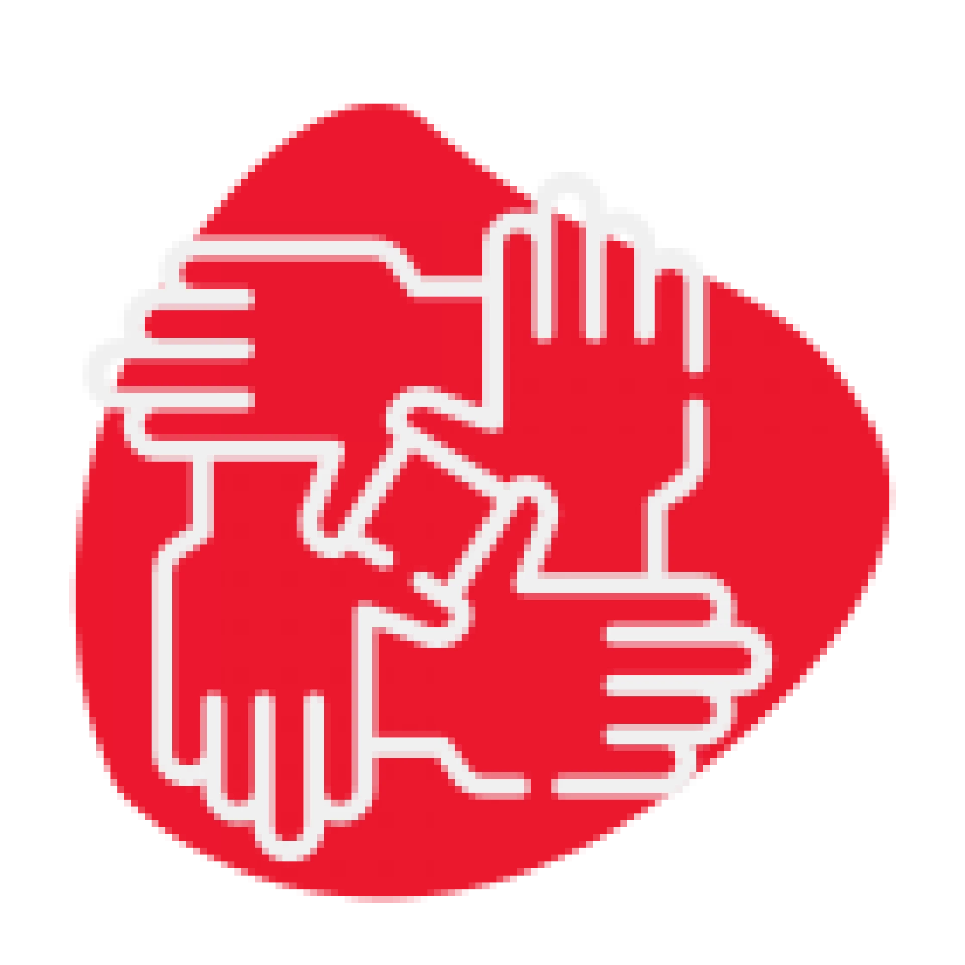 Profesional Calificado